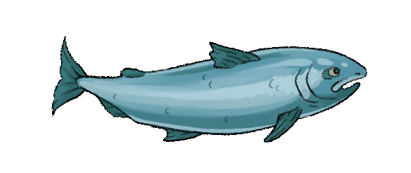 header-fish.gif